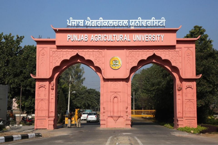 Punjab Agricultural University, Ludhiana Campus View Of Punjab Agricultural University Ludhiana